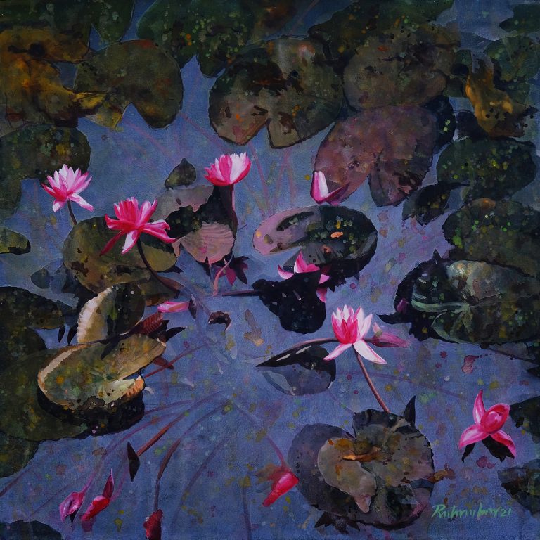 Water lily 18