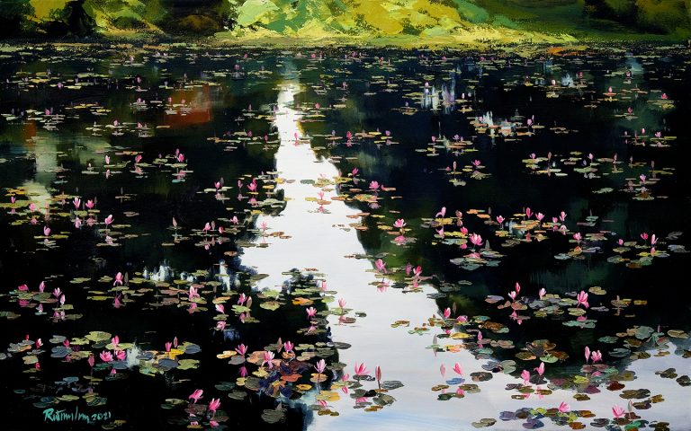 water lily 19