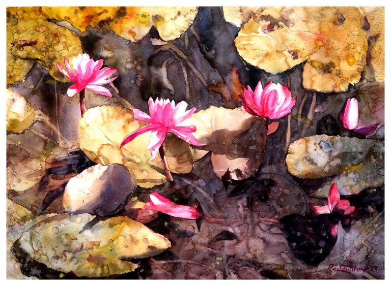 Waterlily 30, 30X22 inch