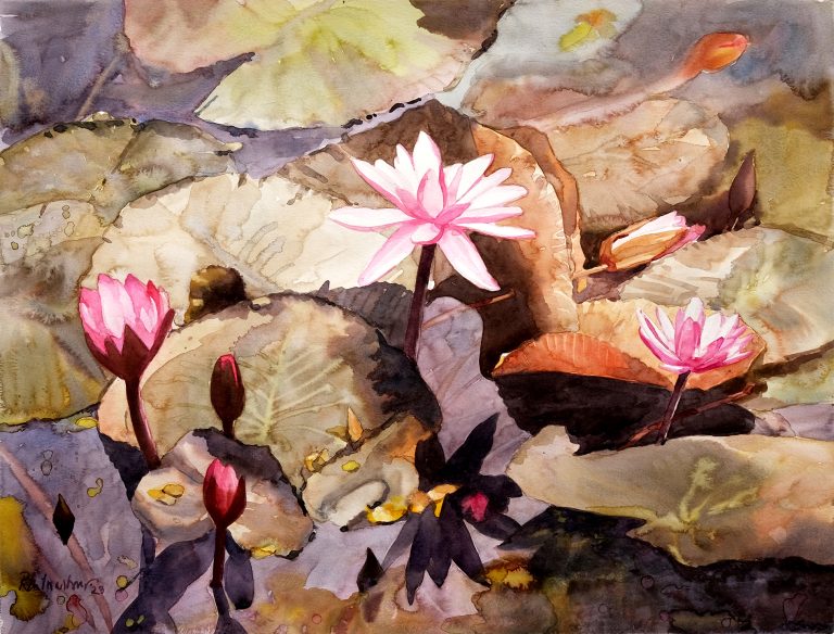 Waterlily 32,
