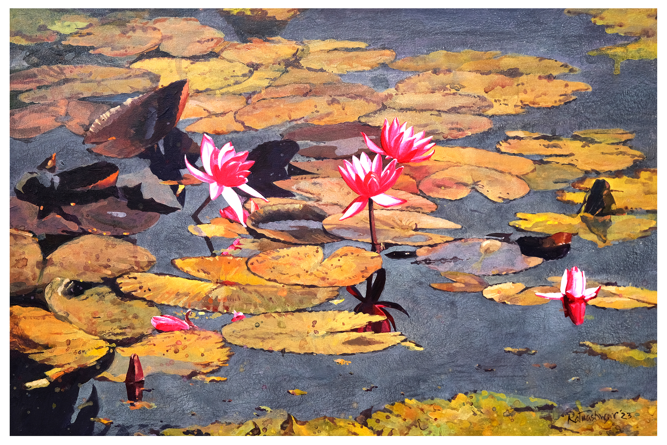 Waterlily 35, 60x90cm