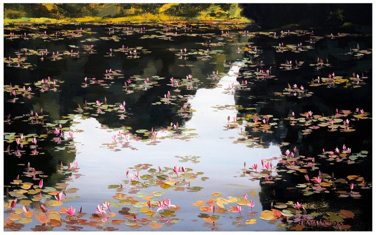 Waterlily 40