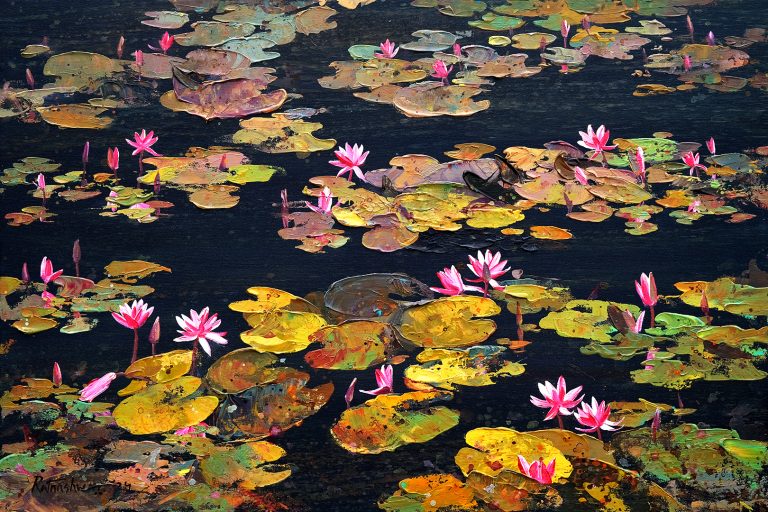 Waterlily 41