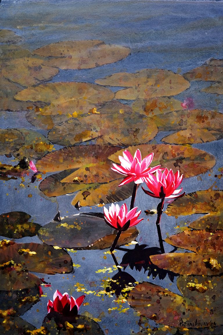 Waterlily 42