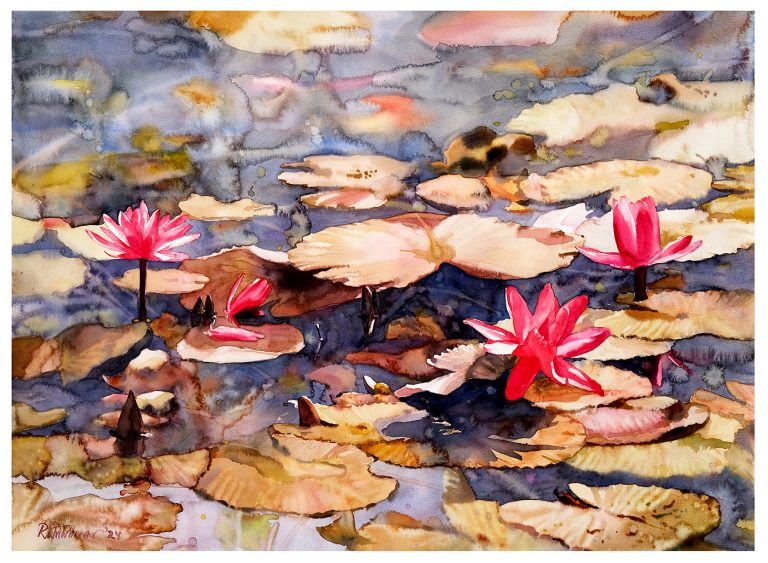 Waterlily 43