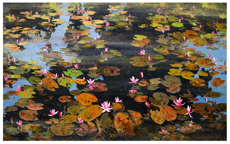 Waterlily 44,