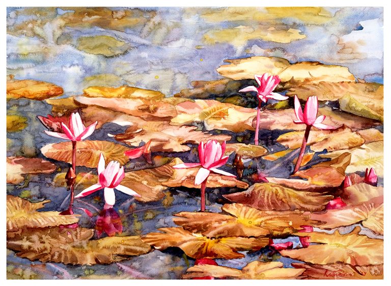Waterlily 45, 30x22