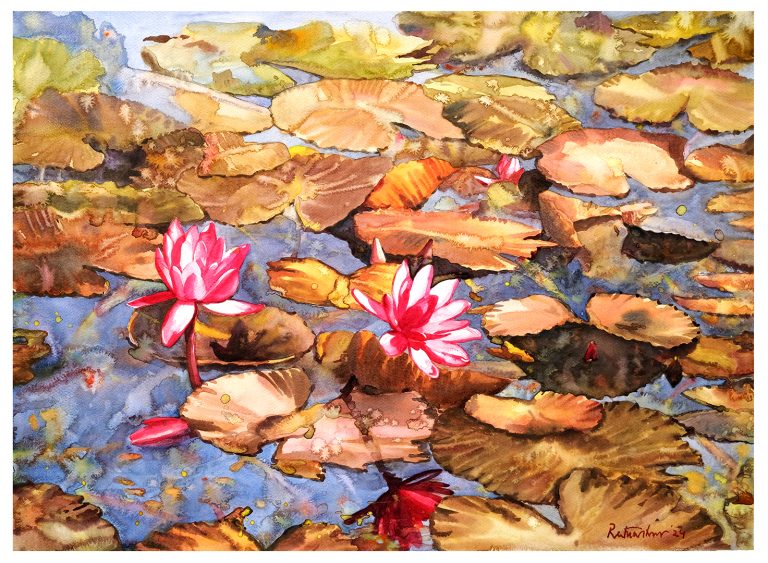 Waterlily 46