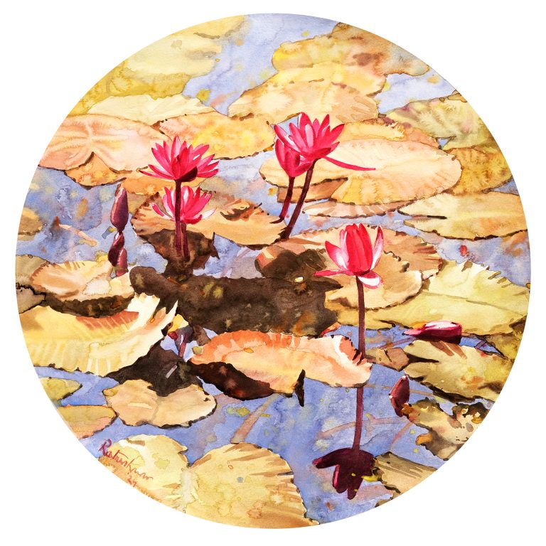 Waterlily 47, 49x49 cm