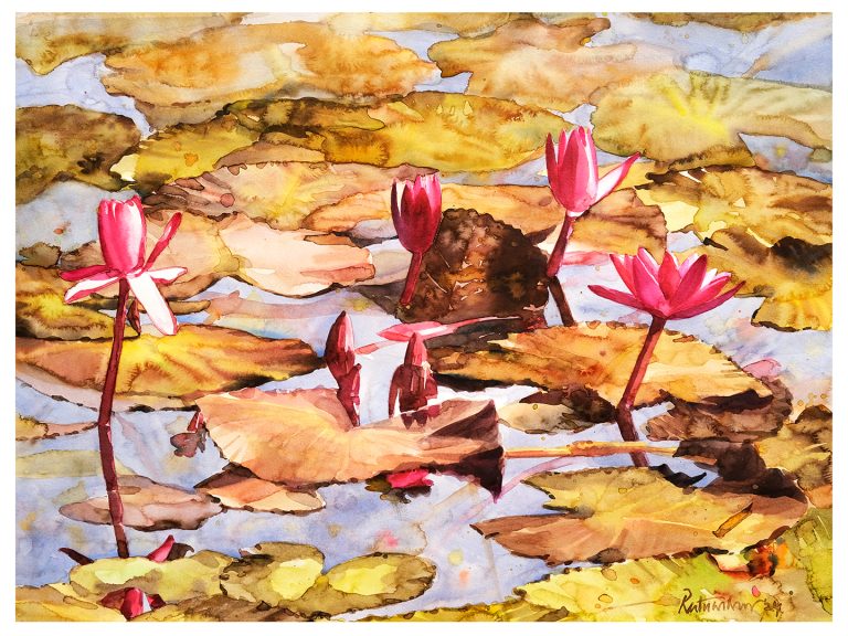 Waterlily 48