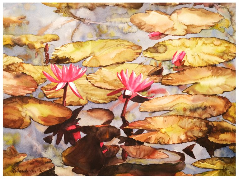Waterlily 49