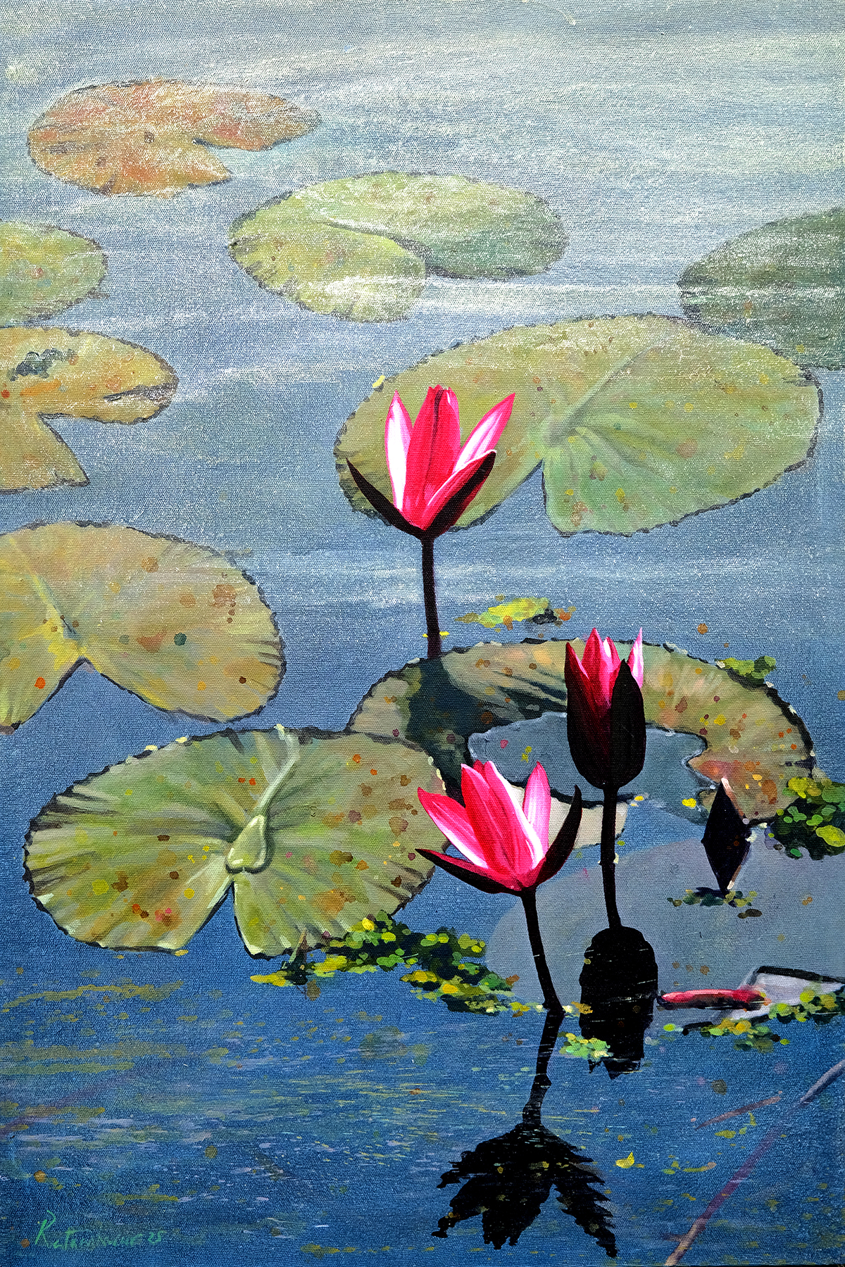 Waterlily 54