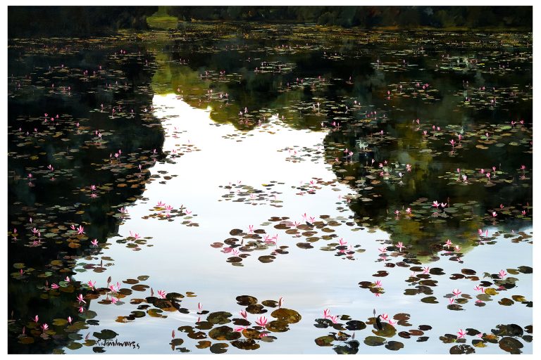 Waterlily 59