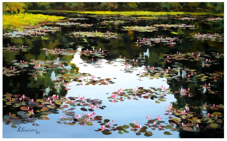 Waterlily 60