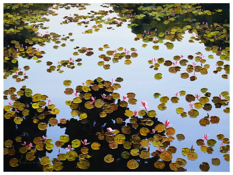 Waterlily 65