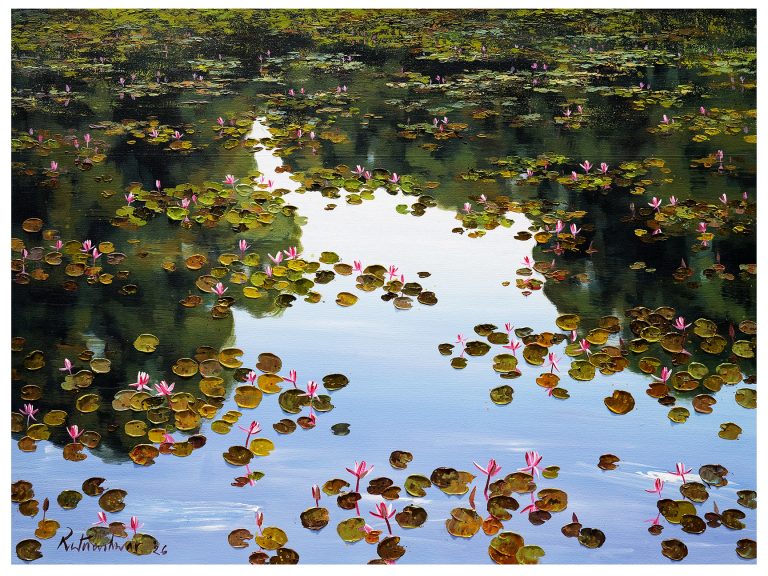 Waterlily 66