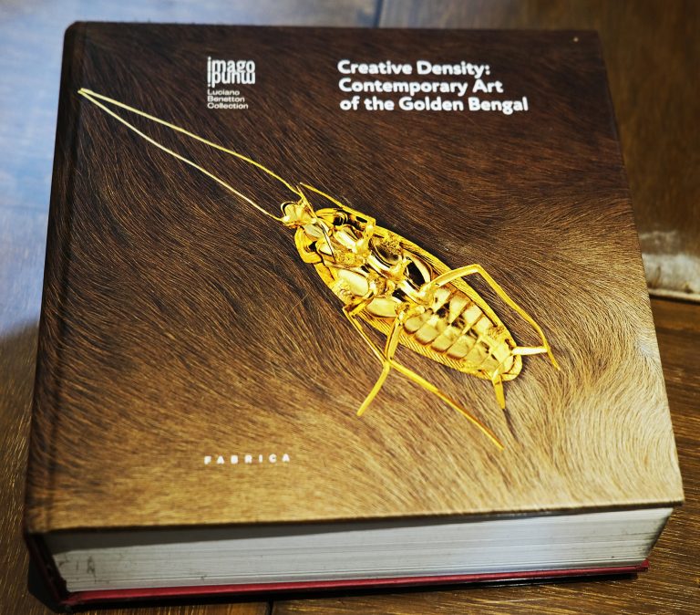 Creative Density: Contemporary Art of the Golden Bengal