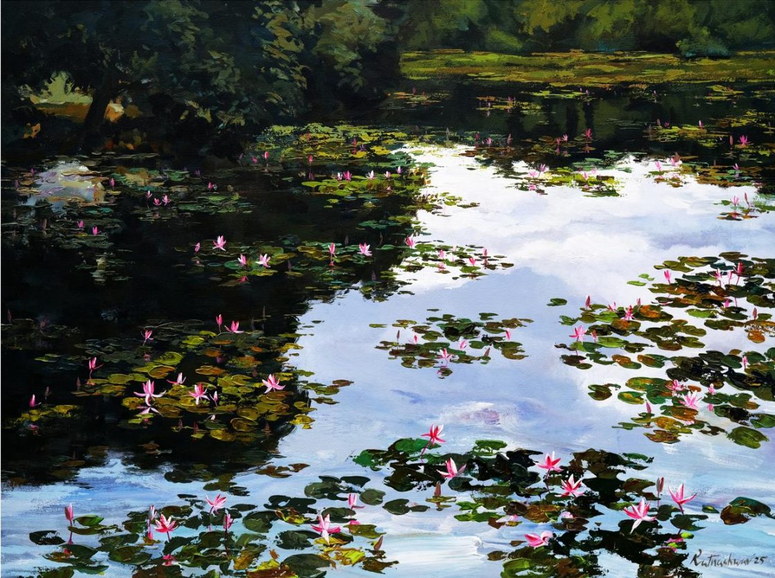 Waterlily